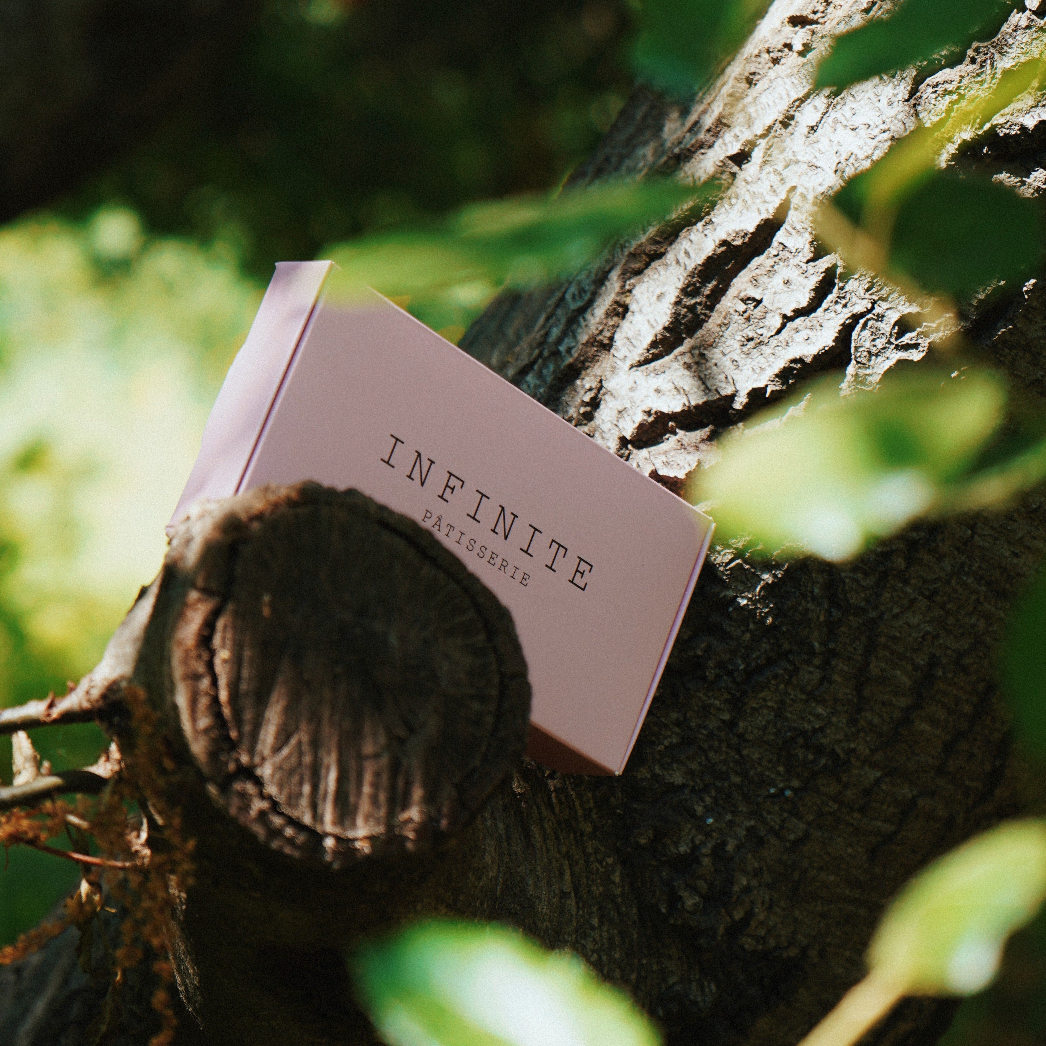 Plant-Based Chocolate BonBons, 6ct