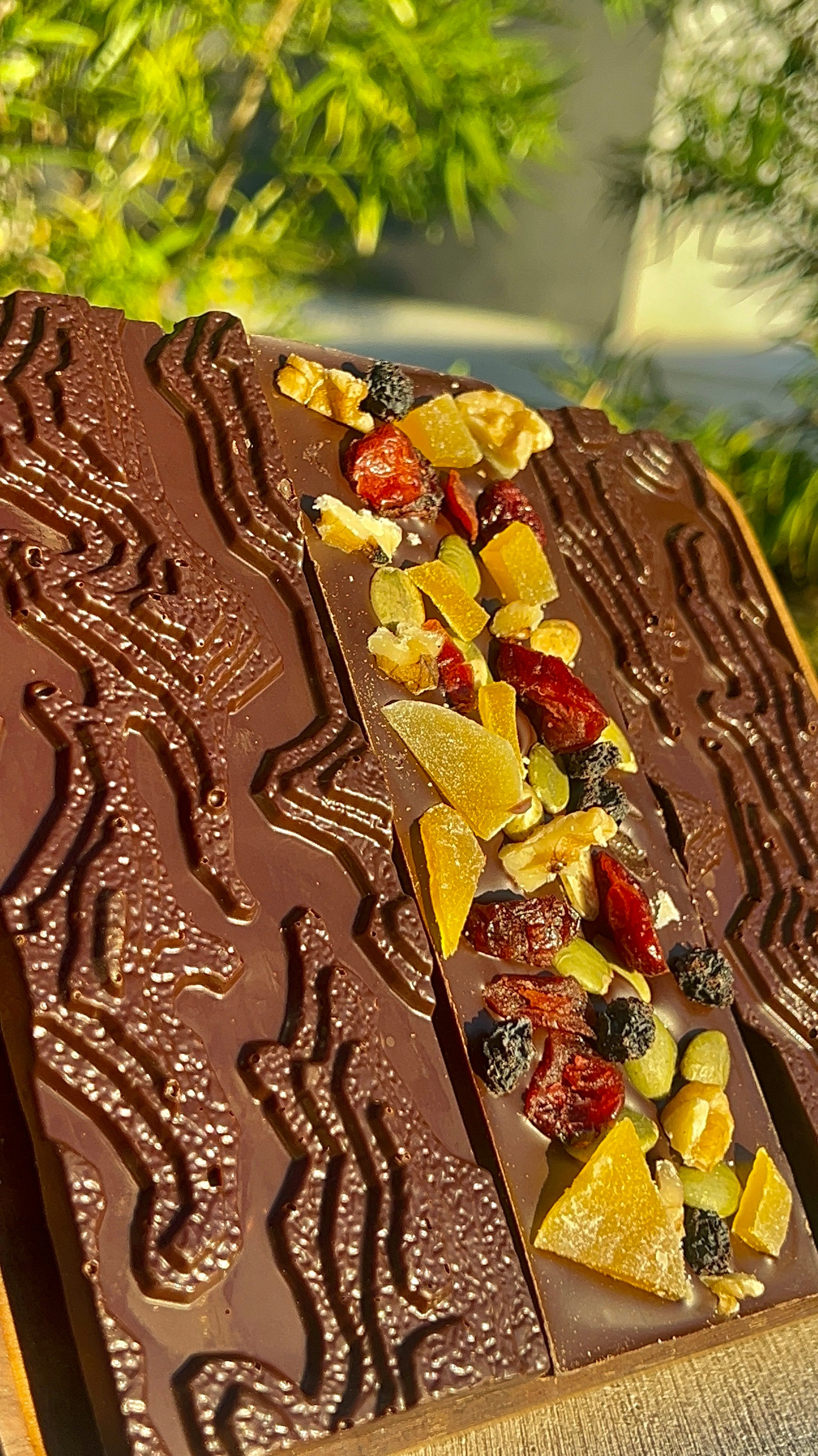 Three handcrafted chocolate bars featuring dried fruits and nuts, styled on a rustic wooden board in an outdoor setting.