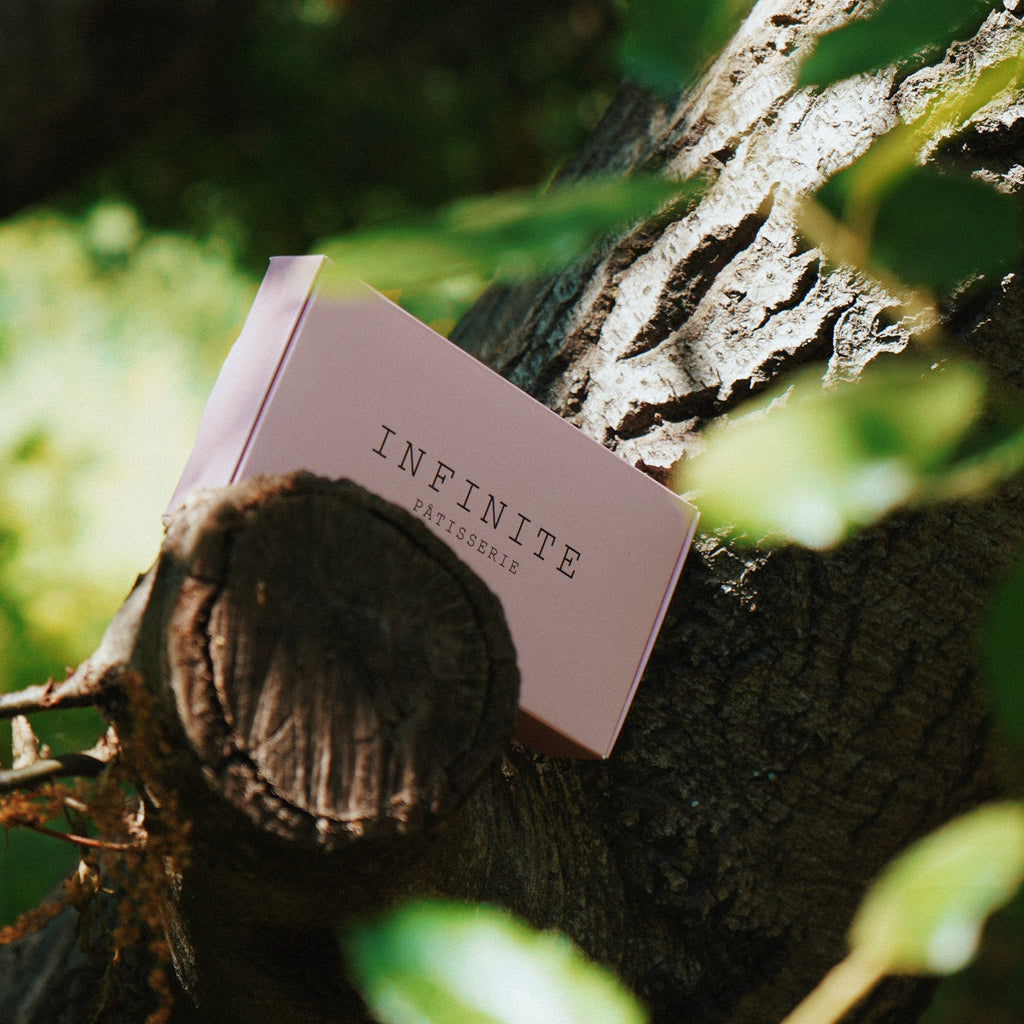 Signature pink ‘Infinite Patisserie’ bonbon box, elegantly presented against a tree trunk, featuring a six-piece artisanal chocolate collection.