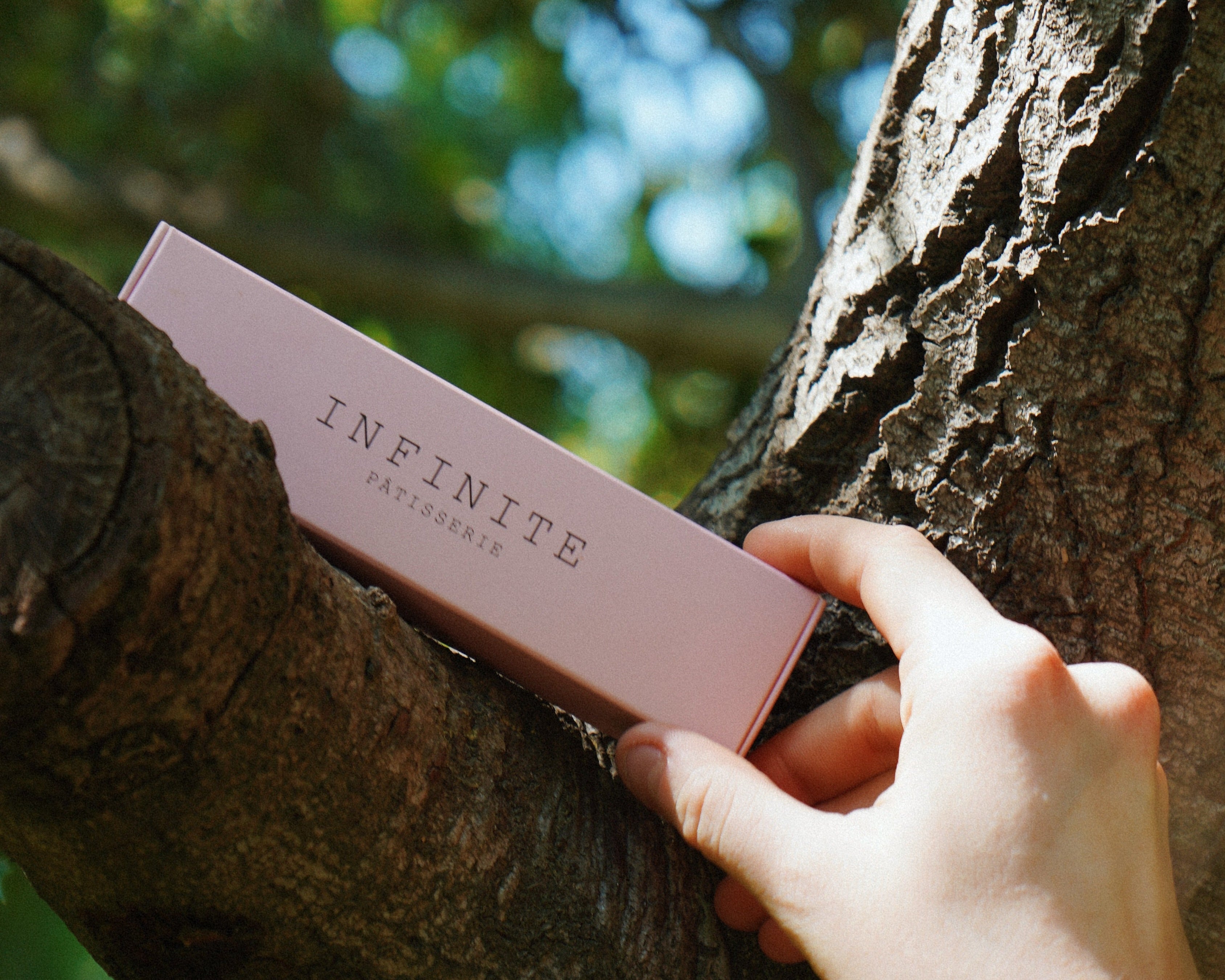 Hand holding a pink box labeled 'Infinite Patisserie' against a tree